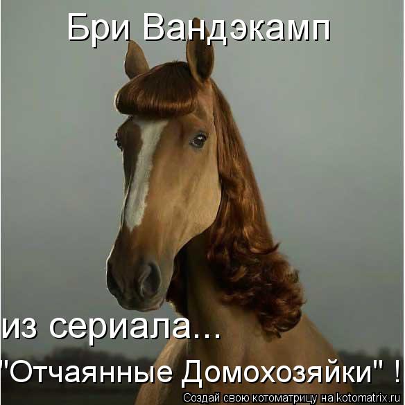 Бри Вандэкамп из сериала... "Отчаянные Домохозяйки" !... Котоматрица: Бри Вандэкамп из сериала... "Отчаянные Домохозяйки" !