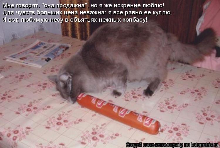 Мне говорят: "она продажна", но я же искренне люблю! Для чувств больших цена неважна: я все равно ее ... Котоматрица: Мне говорят: "она продажна", но я же искренне люблю! Для чувств больших цена неважна: я все равно ее куплю. И вот, любимую несу в объятьях нежны