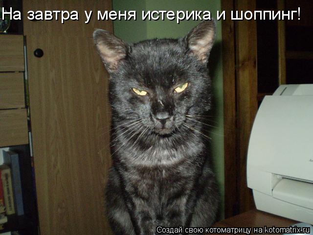 Котоматрица: На завтра у меня истерика и шоппинг!