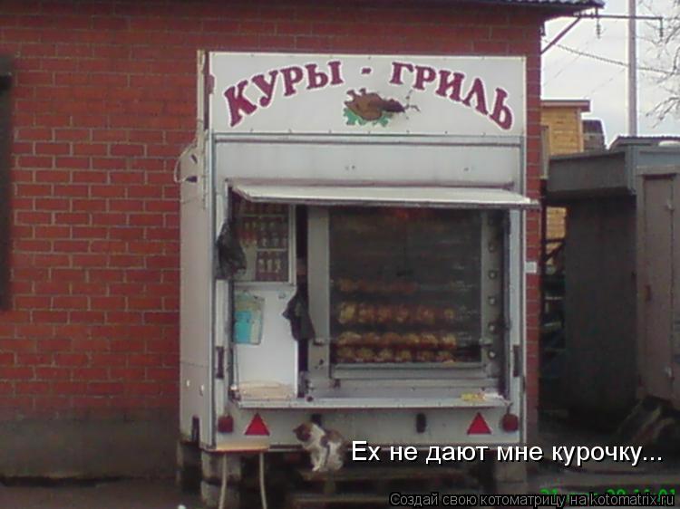 Котоматрица: Ех не дают мне курочку...