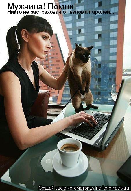Мужчина! Помни! Никто не застрахован от взлома паролей...... Котоматрица: Мужчина! Помни! Никто не застрахован от взлома паролей...