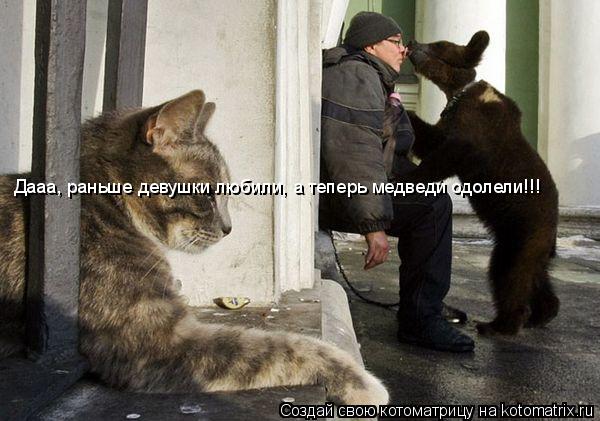 Котоматрица: Дааа, раньше девушки любили, а теперь медведи одолели!!!