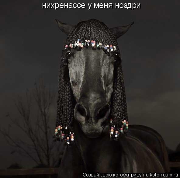 нихренассе у меня ноздри... Котоматрица: нихренассе у меня ноздри