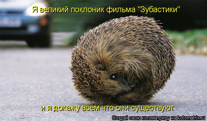 Я великий поклоник фильма "Зубастики" и я докажу всем что они существуют... Котоматрица: Я великий поклоник фильма "Зубастики" и я докажу всем что они существуют