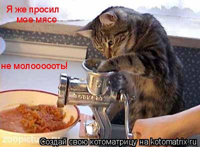 Котоматрица: Я же просил мое мясо не молоооооть!