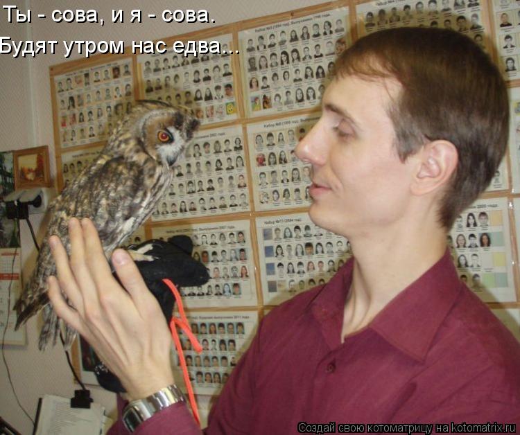 Ты - сова, и я - сова. Будят утром нас едва...... Котоматрица: Ты - сова, и я - сова. Будят утром нас едва...