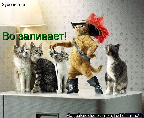 Котоматрица: Зубочистка Во заливает!