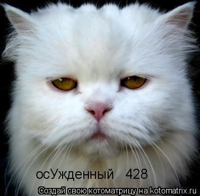 осУжденный № 428... Котоматрица: осУжденный № 428