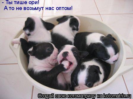 Котоматрица: - Ты тише ори!  А то не возьмут нас оптом!