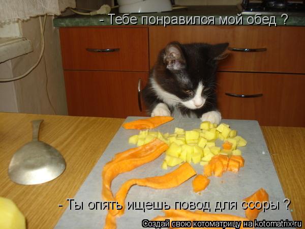 - Тебе понравился мой обед ? - Ты опять ищешь повод для ссоры ?... Котоматрица: - Тебе понравился мой обед ? - Ты опять ищешь повод для ссоры ?