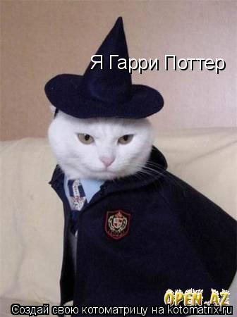 Я Гарри Поттер... Котоматрица: Я Гарри Поттер