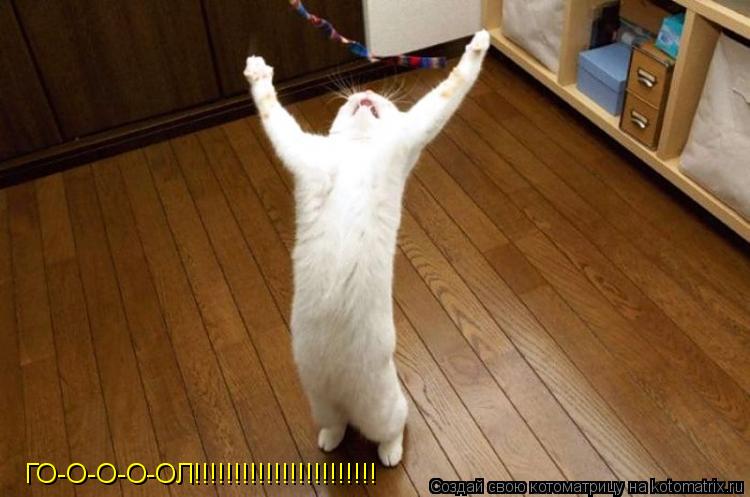 ГО-О-О-О-ОЛ!!!!!!!!!!!!!!!!!!!!!!!... Котоматрица: ГО-О-О-О-ОЛ!!!!!!!!!!!!!!!!!!!!!!!