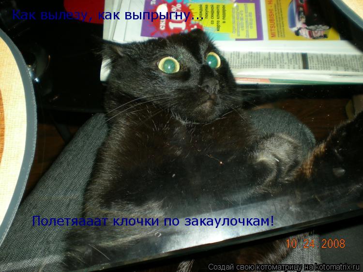Как вылезу, как выпрыгну... Полетяааат клочки по закаулочкам!... Котоматрица: Как вылезу, как выпрыгну... Полетяааат клочки по закаулочкам!