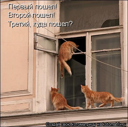 Первый пошел! Второй пошел! Третий, куда пошел?... Котоматрица: Первый пошел! Второй пошел! Третий, куда пошел?