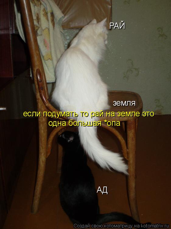 РАЙ АД земля если подумать то рай на земле это одна большая *опа... Котоматрица: РАЙ АД земля если подумать то рай на земле это одна большая *опа