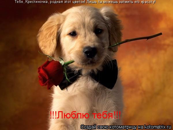 Тебе, Кристиночка, родная этот цветок! Лишь ты можешь затмить его красоту! Тебе, Кристиночка, родная ... Котоматрица: Тебе, Кристиночка, родная этот цветок! Лишь ты можешь затмить его красоту! Тебе, Кристиночка, родная этот цветок! Лишь ты можешь затмить его