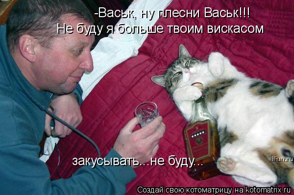 -Васьк, ну плесни Васьк!!! Не буду я больше твоим вискасом закусывать...не буду...... Котоматрица: -Васьк, ну плесни Васьк!!! Не буду я больше твоим вискасом закусывать...не буду...