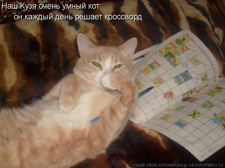 Наш Кузя очень умный кот он каждый день решает кроссворд... Котоматрица: Наш Кузя очень умный кот он каждый день решает кроссворд