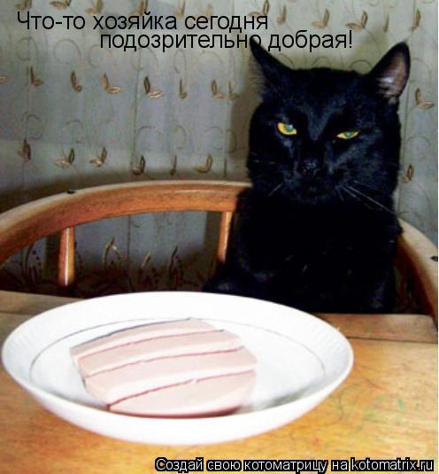 Что-то хозяйка сегодня подозрительно добрая!... Котоматрица: Что-то хозяйка сегодня подозрительно добрая!