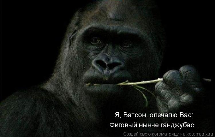 Я, Ватсон, опечалю Вас: Фиговый нынче ганджубас...... Котоматрица: Я, Ватсон, опечалю Вас: Фиговый нынче ганджубас...