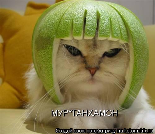 МУР*ТАНХАМОН... Котоматрица: МУР*ТАНХАМОН