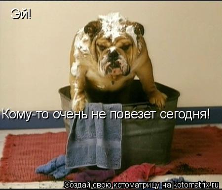 Эй! Кому-то очень не повезет сегодня!... Котоматрица: Эй! Кому-то очень не повезет сегодня!