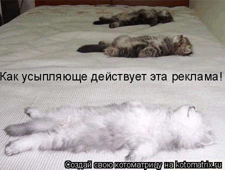 Котоматрица: Как усыпляюще действует эта реклама!