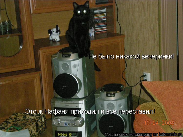 Не было никакой вечеринки! Это ж Нафаня приходил и все переставил!... Котоматрица: Не было никакой вечеринки! Это ж Нафаня приходил и все переставил!