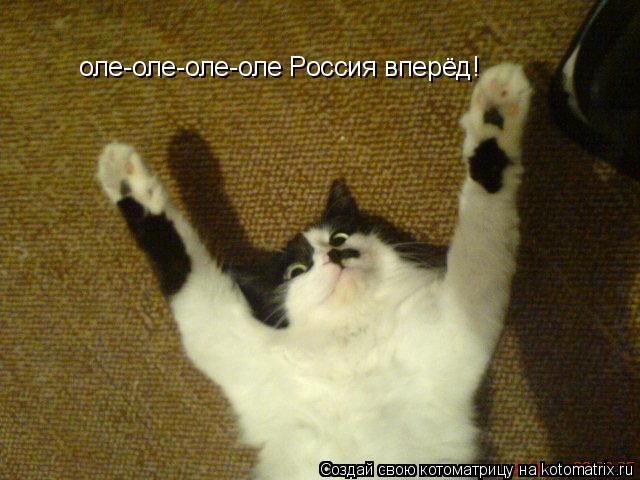Котоматрица: оле-оле-оле-оле Россия вперёд!