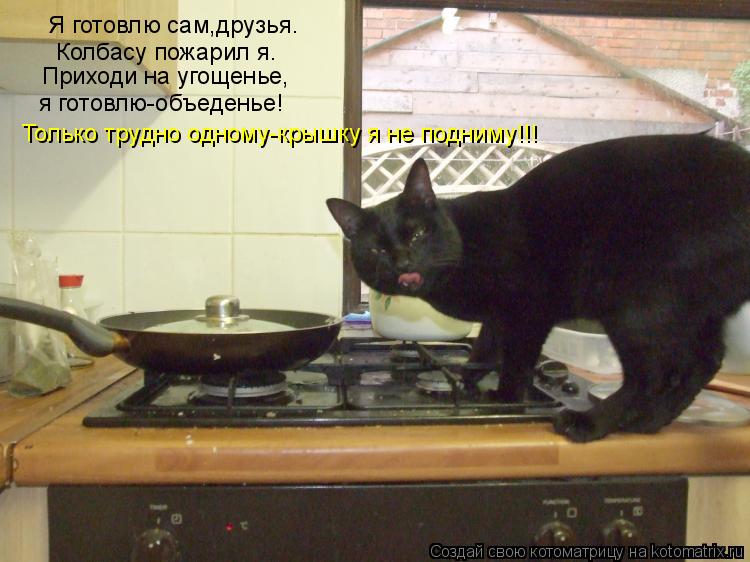 Я готовлю сам,друзья. Колбасу пожарил я. Приходи на угощенье, я готовлю-объеденье! Только трудно одно... Котоматрица: Я готовлю сам,друзья. Колбасу пожарил я. Приходи на угощенье, я готовлю-объеденье! Только трудно одному-крышку я не подниму!!!