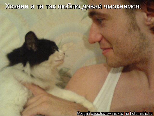 Хозяин я тя так люблю,давай чмокнемся.... Котоматрица: Хозяин я тя так люблю,давай чмокнемся.