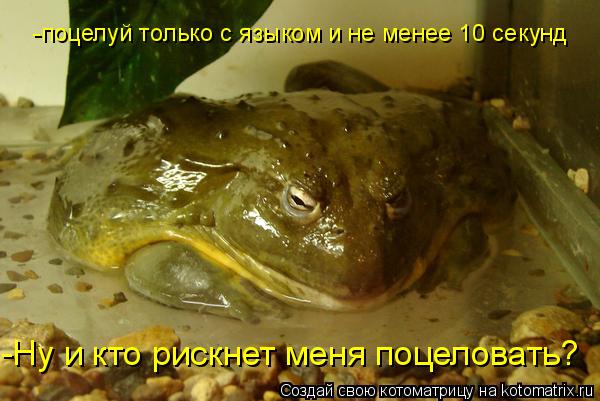 -Ну и кто рискнет меня поцеловать? -поцелуй только с языком и не менее 10 секунд... Котоматрица: -Ну и кто рискнет меня поцеловать? -поцелуй только с языком и не менее 10 секунд