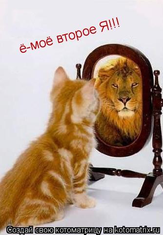 Котоматрица: ё-моё второе Я!!!