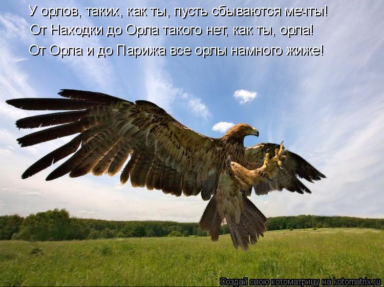У орлов, таких, как ты, пусть сбываются мечты! От Находки до Орла такого нет, как ты, орла! От Орла ... Котоматрица: У орлов, таких, как ты, пусть сбываются мечты! От Находки до Орла такого нет, как ты, орла! От Орла и до Парижа все орлы намного жиже!