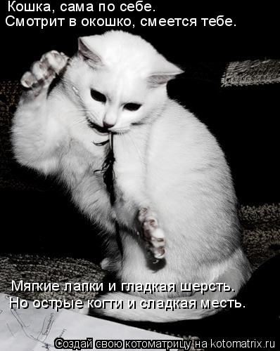 Кошка, сама по себе. Смотрит в окошко, смеется тебе. Мягкие лапки и гладкая шерсть. Но острые когти и... Котоматрица: Кошка, сама по себе. Смотрит в окошко, смеется тебе. Мягкие лапки и гладкая шерсть. Но острые когти и сладкая месть.