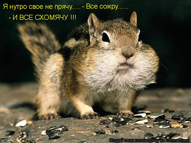 Я нутро свое не прячу..... - Все сожру...... - И ВСЕ СХОМЯЧУ !!!... Котоматрица: Я нутро свое не прячу..... - Все сожру...... - И ВСЕ СХОМЯЧУ !!!