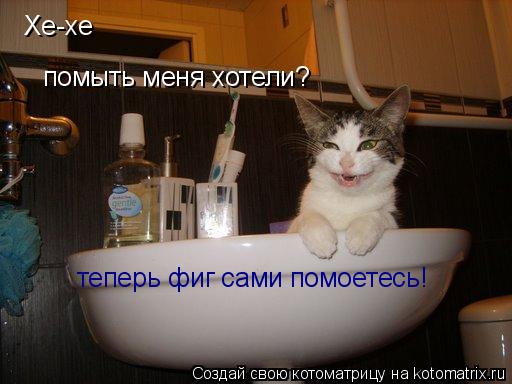 Котоматрица: Хе-хе помыть меня хотели? теперь фиг сами помоетесь!