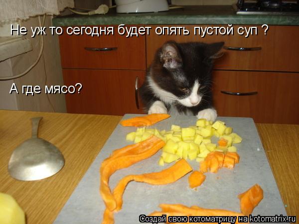 Котоматрица: Не уж то сегодня будет опять пустой суп ? А где мясо?