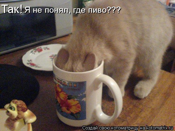 Котоматрица: Так! Я не понял, где пиво???