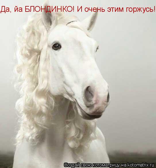 Да, йа БЛОНДИНКО! И очень этим горжусь!... Котоматрица: Да, йа БЛОНДИНКО! И очень этим горжусь!