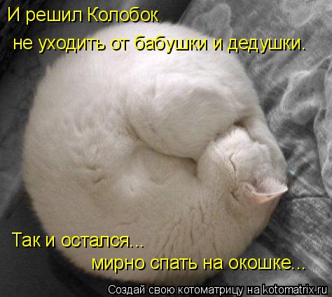 И решил Колобок не уходить от бабушки и дедушки. Так и остался... мирно спать на окошке...... Котоматрица: И решил Колобок не уходить от бабушки и дедушки. Так и остался... мирно спать на окошке...
