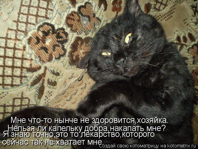 Мне что-то нынче не здоровится,хозяйка. Нельзя ли капельку добра,накапать мне? сейчас так не хватает ... Котоматрица: Мне что-то нынче не здоровится,хозяйка. Нельзя ли капельку добра,накапать мне? сейчас так не хватает мне. Я знаю точно,это то лекарство,котор