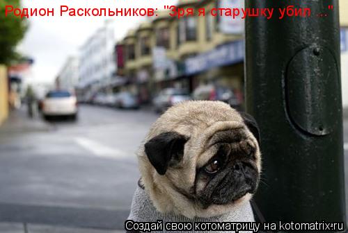 Родион Раскольников: "Зря я убил старушку..." Родион Раскольников: "Зря я старушку убил ..."... Котоматрица: Родион Раскольников: "Зря я убил старушку..." Родион Раскольников: "Зря я старушку убил ..."