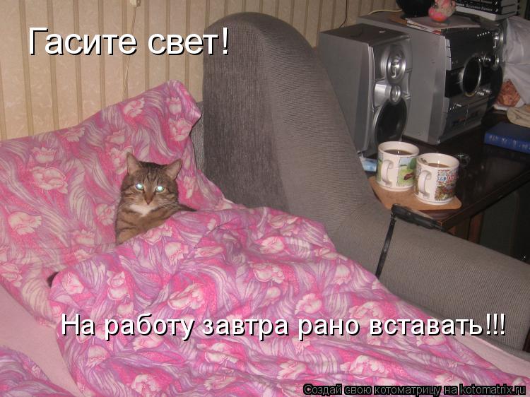 Гасите свет! На работу завтра рано вставать!!!... Котоматрица: Гасите свет! На работу завтра рано вставать!!!