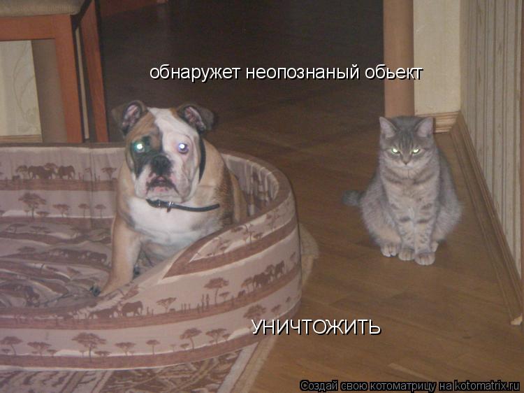 обнаружет неопознаный обьект УНИЧТОЖИТЬ... Котоматрица: обнаружет неопознаный обьект УНИЧТОЖИТЬ