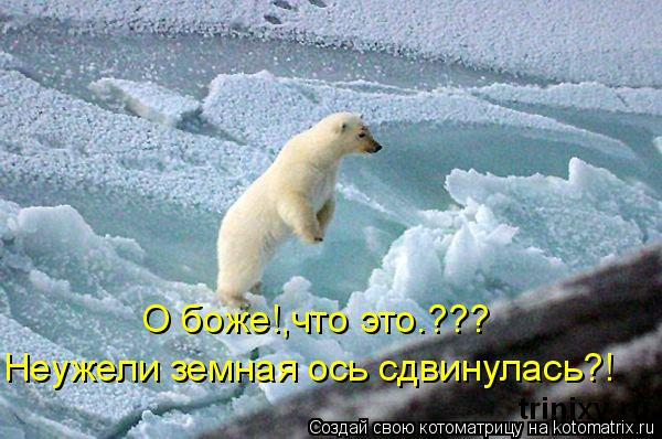 О боже!,что это.??? Неужели земная ось сдвинулась?!... Котоматрица: О боже!,что это.??? Неужели земная ось сдвинулась?!