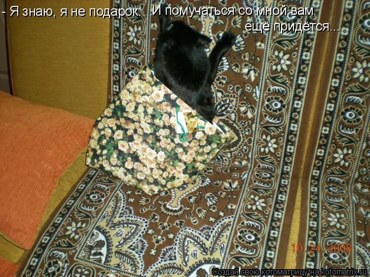 - Я знаю, я не подарок. И помучаться со мной вам ещё придётся...... Котоматрица: - Я знаю, я не подарок. И помучаться со мной вам ещё придётся...