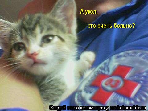 А укол, это очень больно?... Котоматрица: А укол, это очень больно?