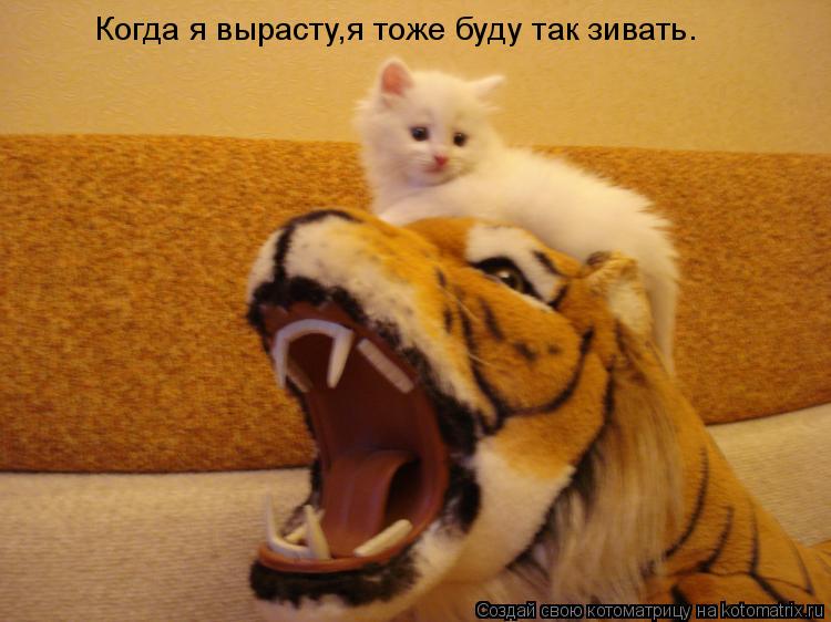 Когда я вырасту,я тоже буду так зивать.... Котоматрица: Когда я вырасту,я тоже буду так зивать.