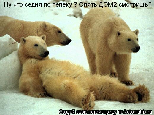 Ну что седня по телеку ? Опять ДОМ2 смотришь?... Котоматрица: Ну что седня по телеку ? Опять ДОМ2 смотришь?